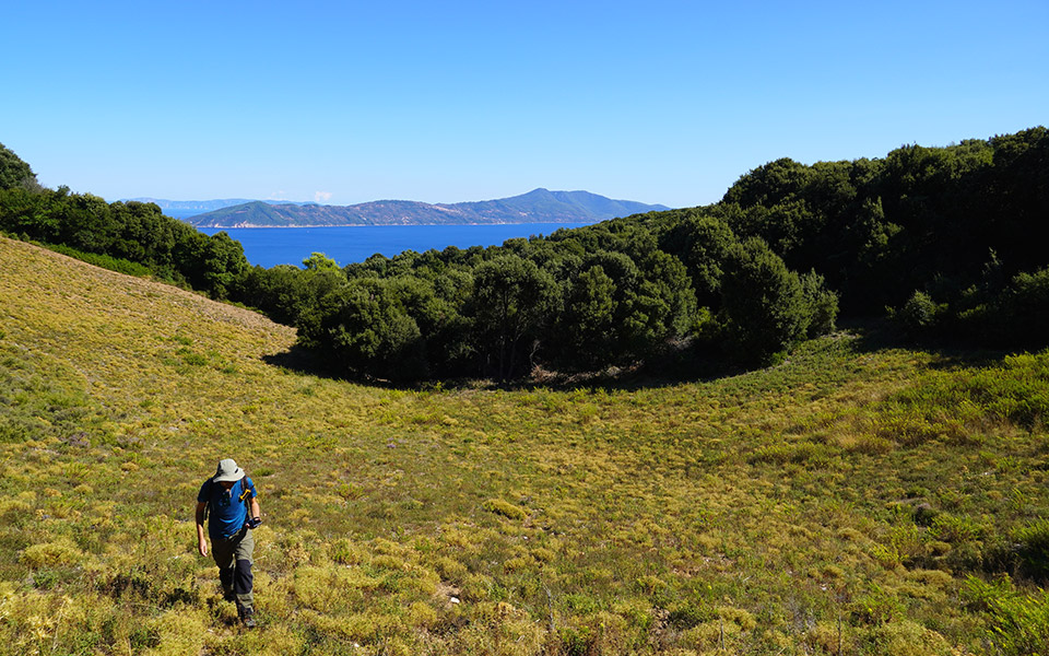 σκιάθος-μονοπάτια-για-όλους-561194620