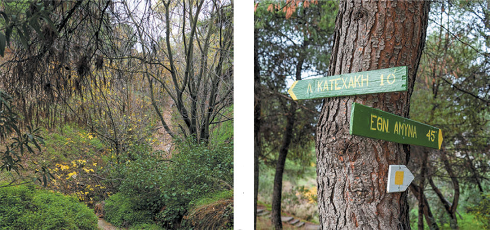 Παπάγου: βαδίζοντας στα χνάρια του Ιλισού-4