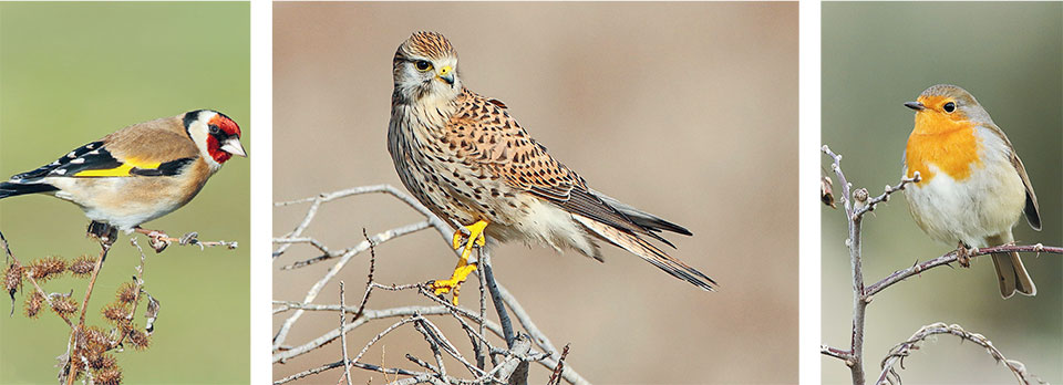 Επίσκεψη στο σπίτι της «Αλκυόνης»-4