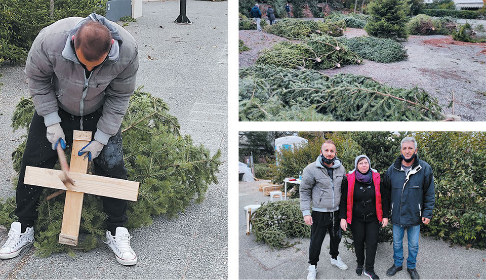 Απρόσμενη ζήτηση για έλατα-1