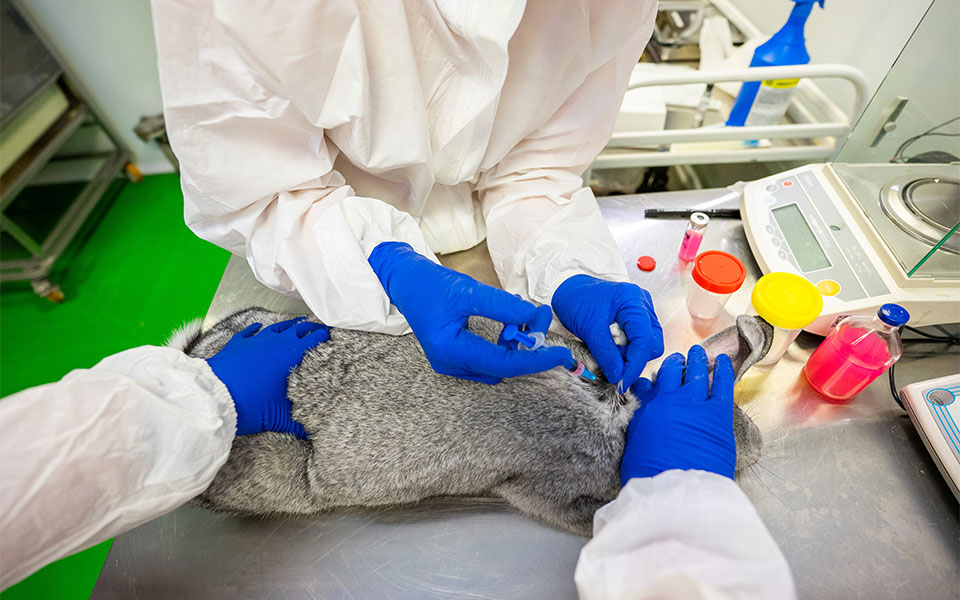 ρωσία-αναπτύσσεται-εμβόλιο-κορωνοϊο-561196660