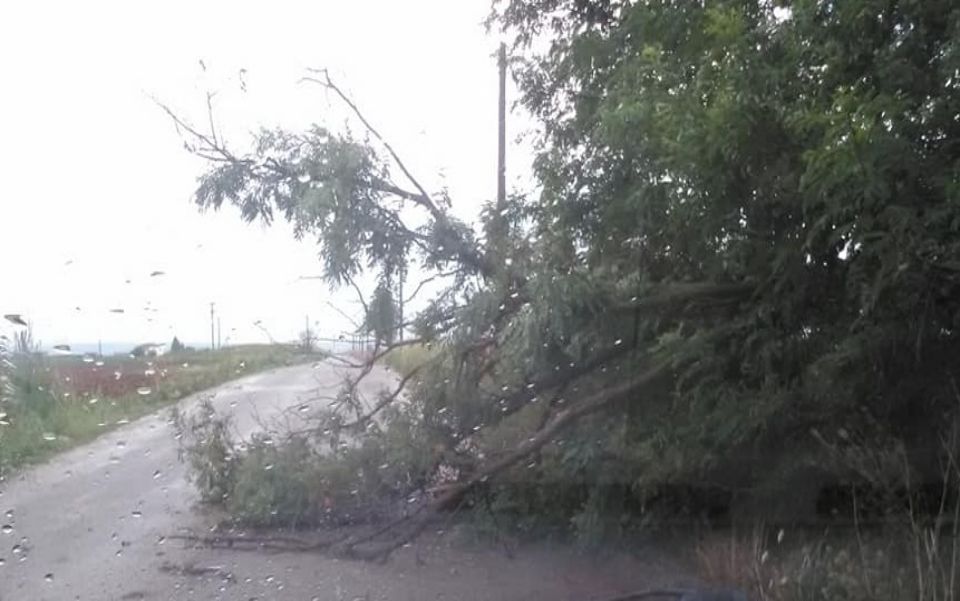 στε-αποζημίωση-164-280-ευρώ-για-τον-θάνατο-μ-561180511