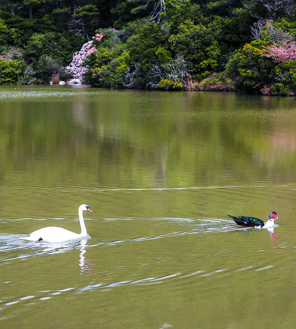 Ενα μικρό υδάτινο πάρκο σε ύψος 600 μέτρων-3