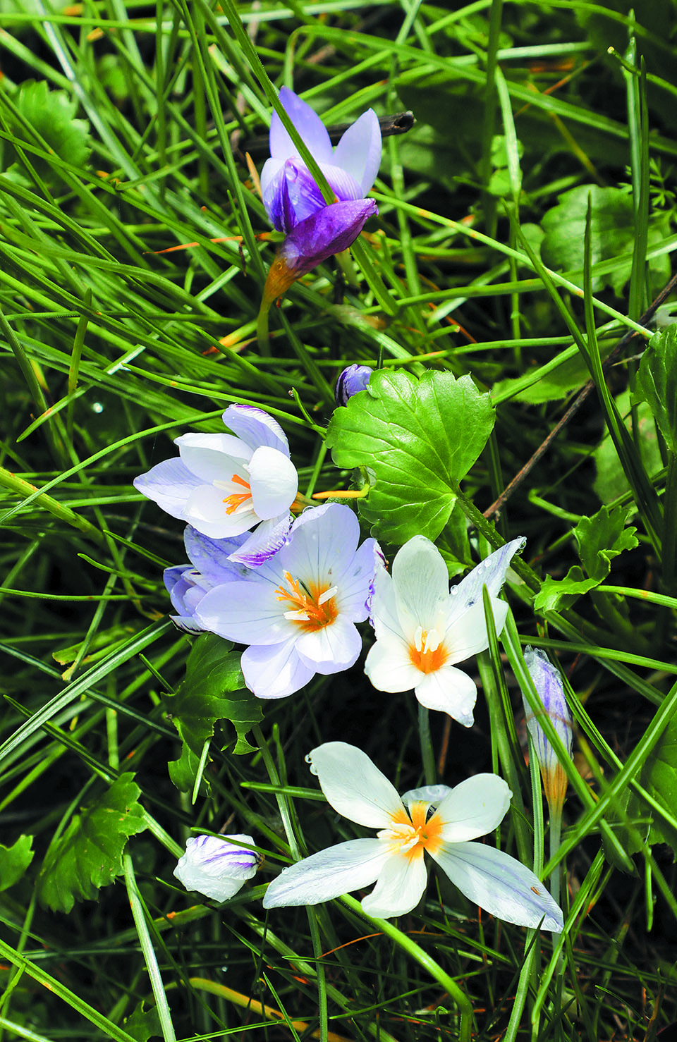 Ενα μικρό υδάτινο πάρκο σε ύψος 600 μέτρων-5