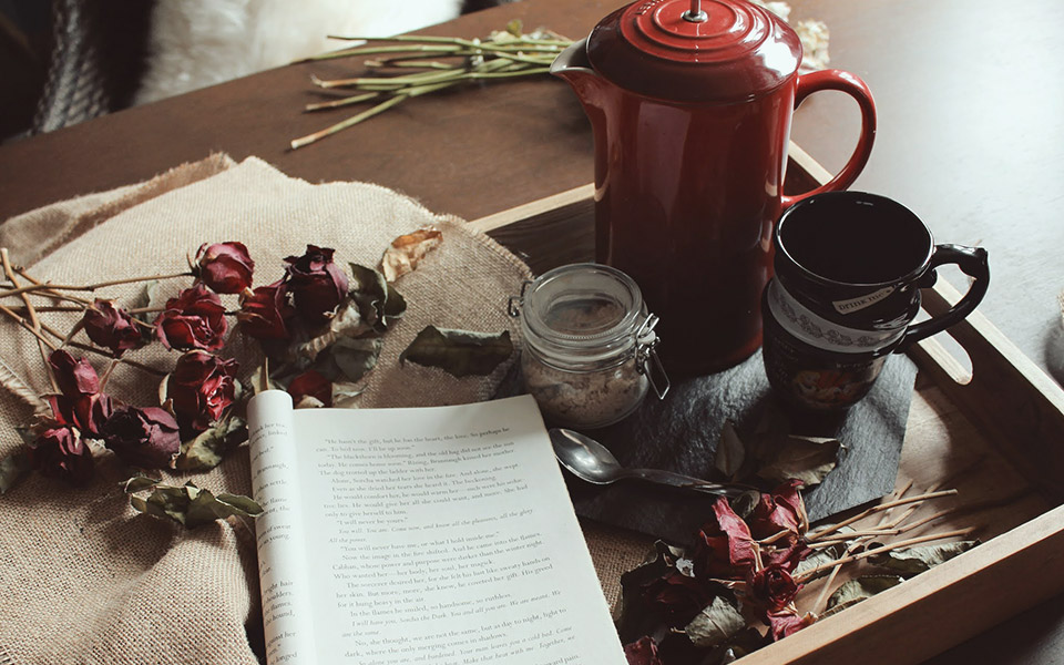 η-λογοτεχνία-ως-θεραπεία-561189493