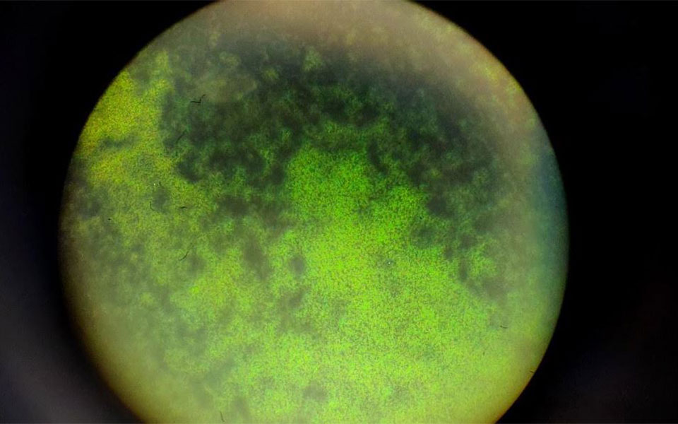 Διάκριση φοιτητών από πανεπιστήμια της Αθήνας σε παγκόσμιο διαγωνισμό-1