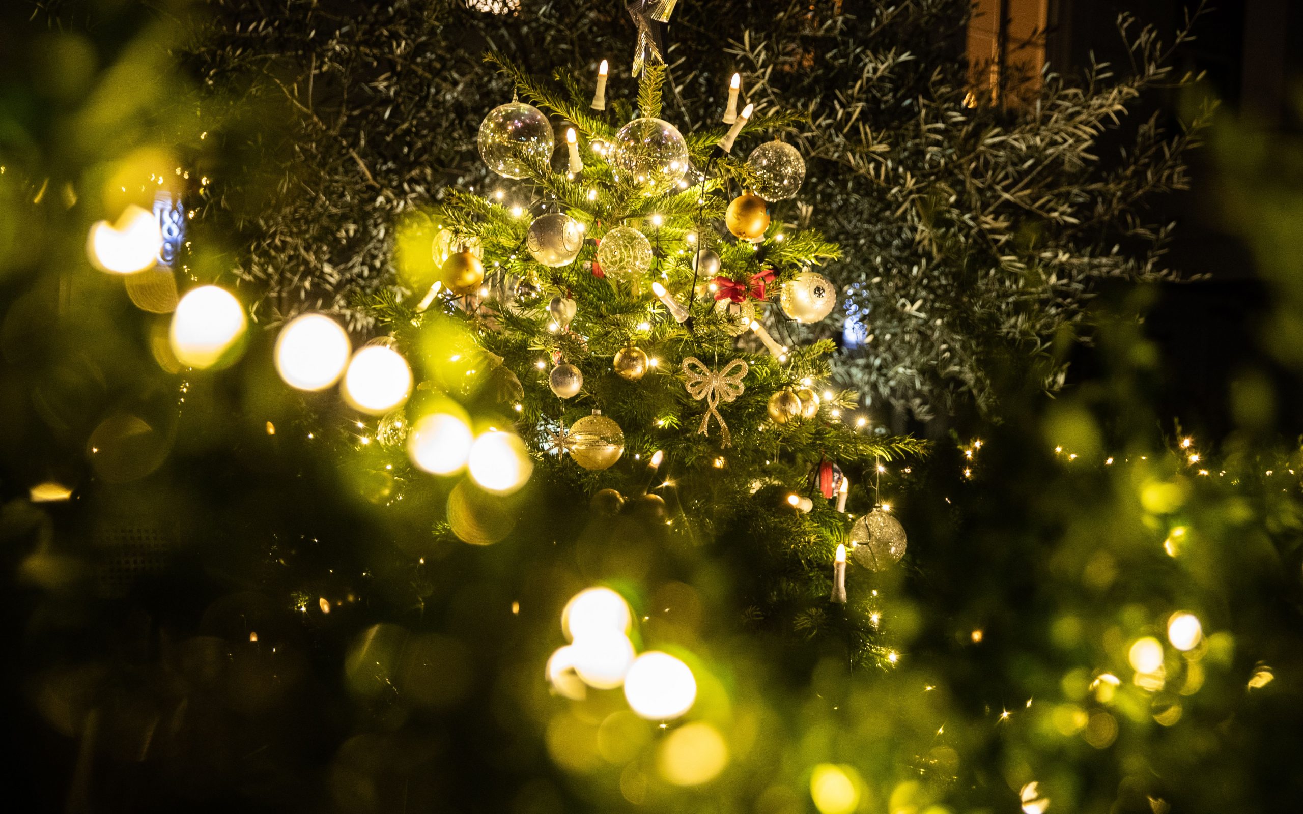 έμφαση-στους-ελέγχους-για-την-απαγόρε-561206983