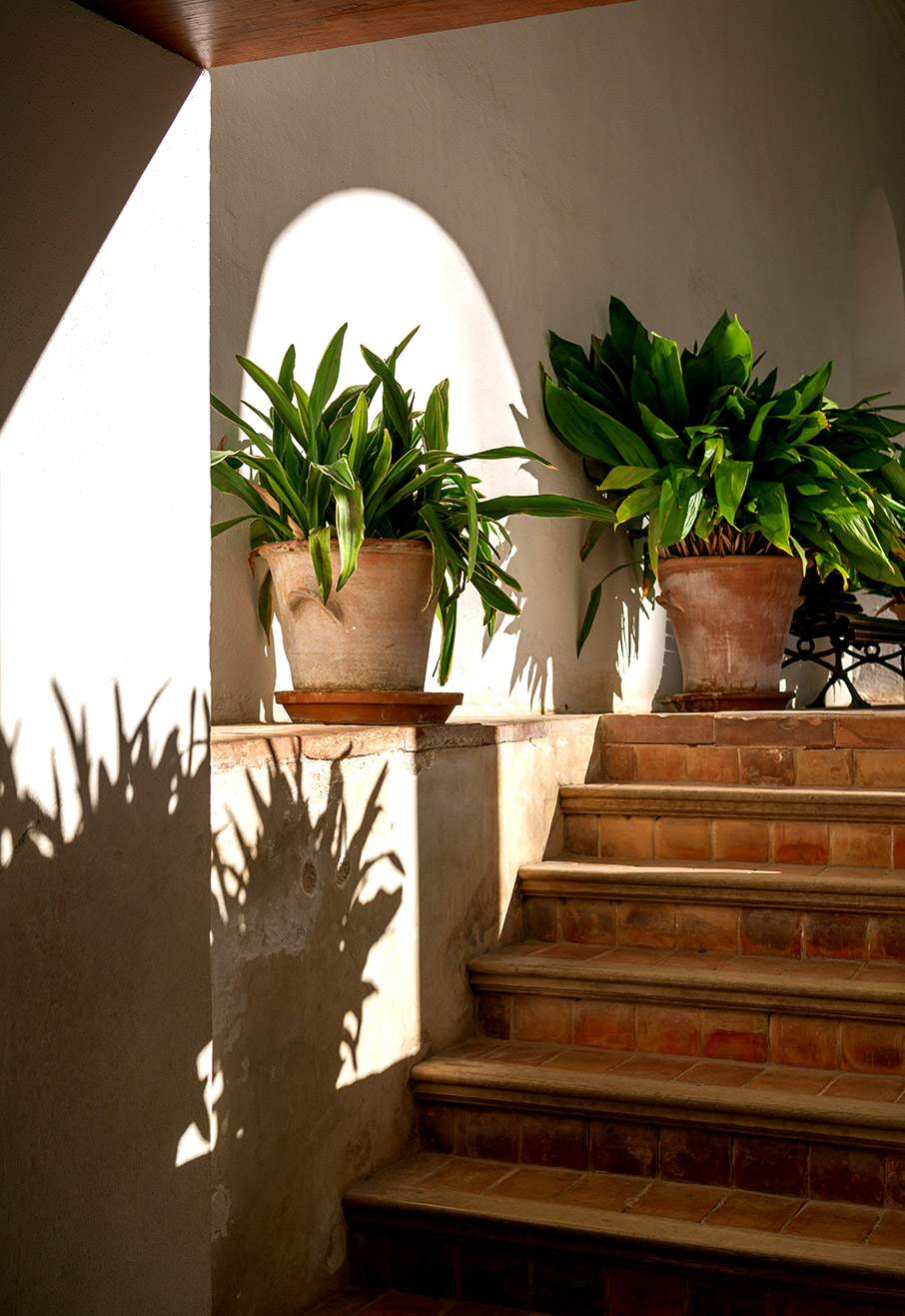 Διακόσμηση Σκάλας Εισόδου-4