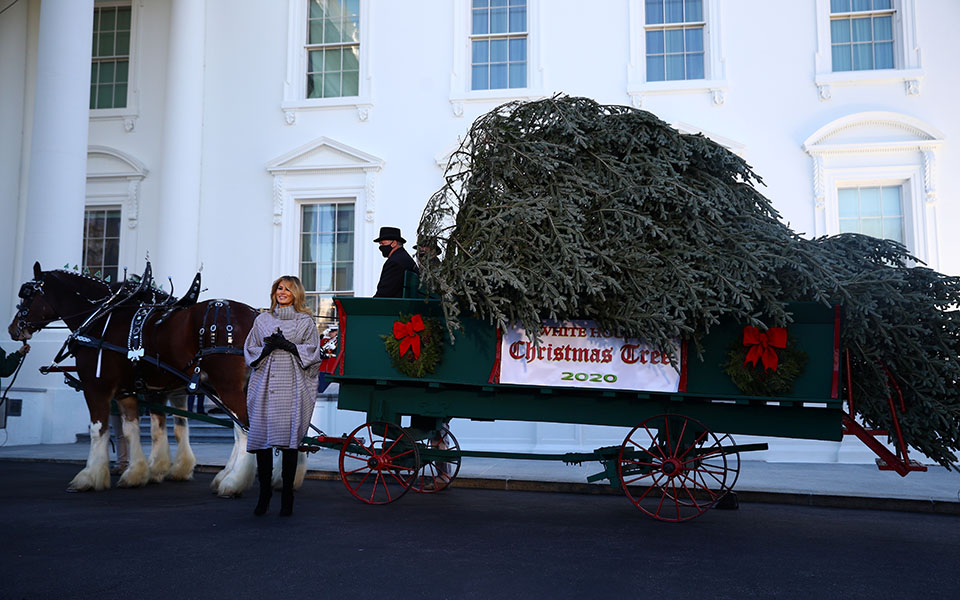 η-μελάνια-αποκάλυψε-το-φετινό-θέμα-στο-561179887