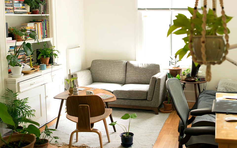 η-διακόσμηση-με-φυτά-φέρνει-στο-σπίτι-τ-561188314