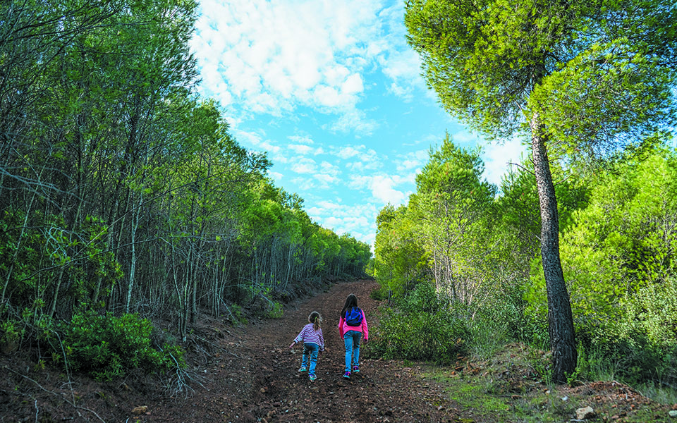 πάρκο-σουνίου-υπαίθριο-ιστορικό-μουσ-561212485