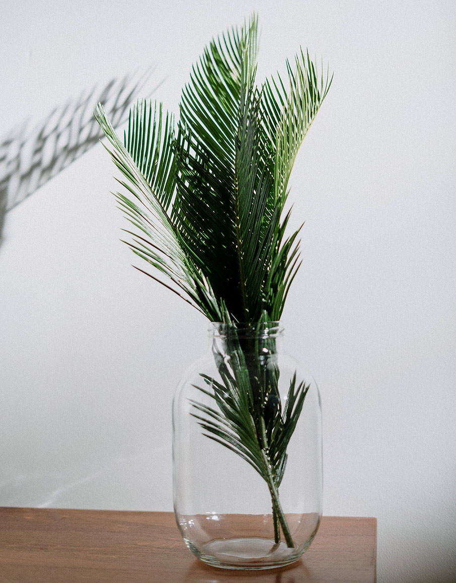 Φυτά υπνοδωματίου για άνετο και συνεχή ύπνο-2