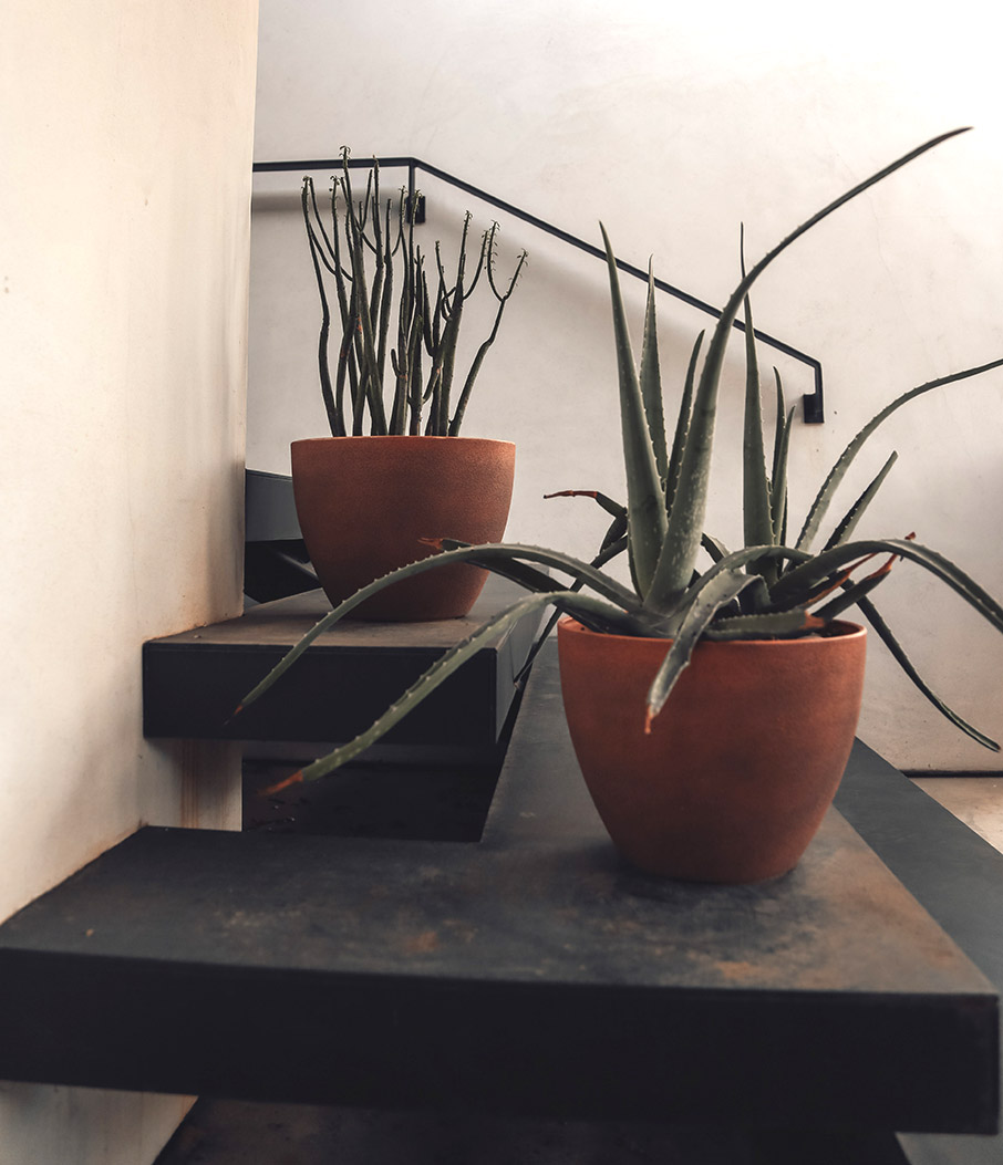 Διακόσμηση Σκάλας Εισόδου-3