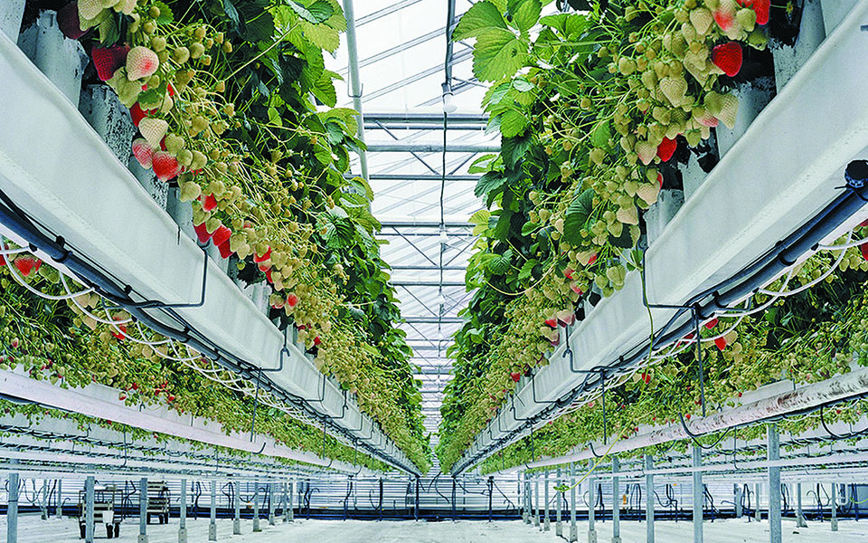 Ψηφιακή άσκηση για το βλέμμα-2