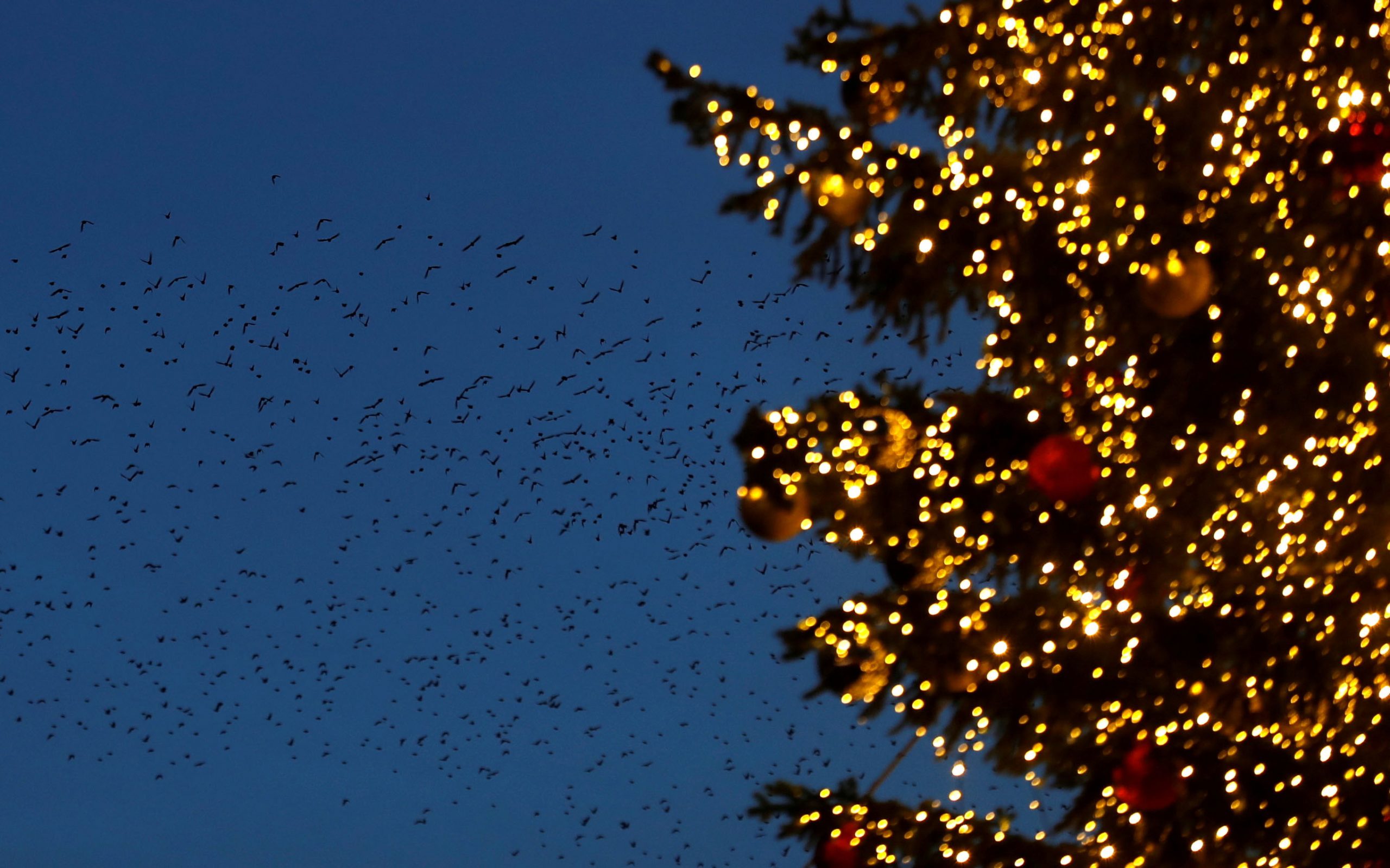 ρεβεγιόν-με-έως-9-άτομα-και-απαγόρευση-κ-561194833