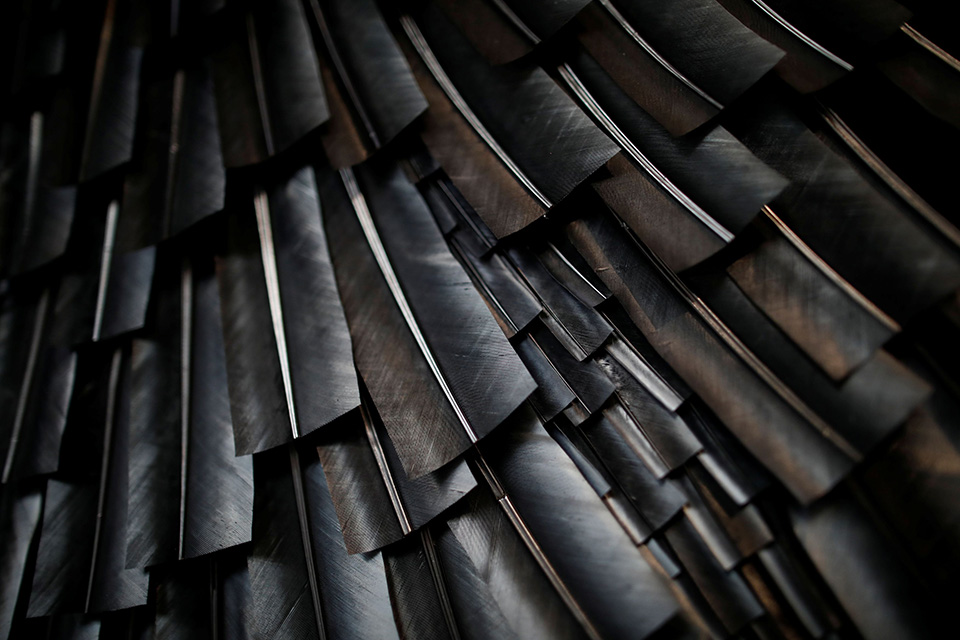 πτηνά-561244948