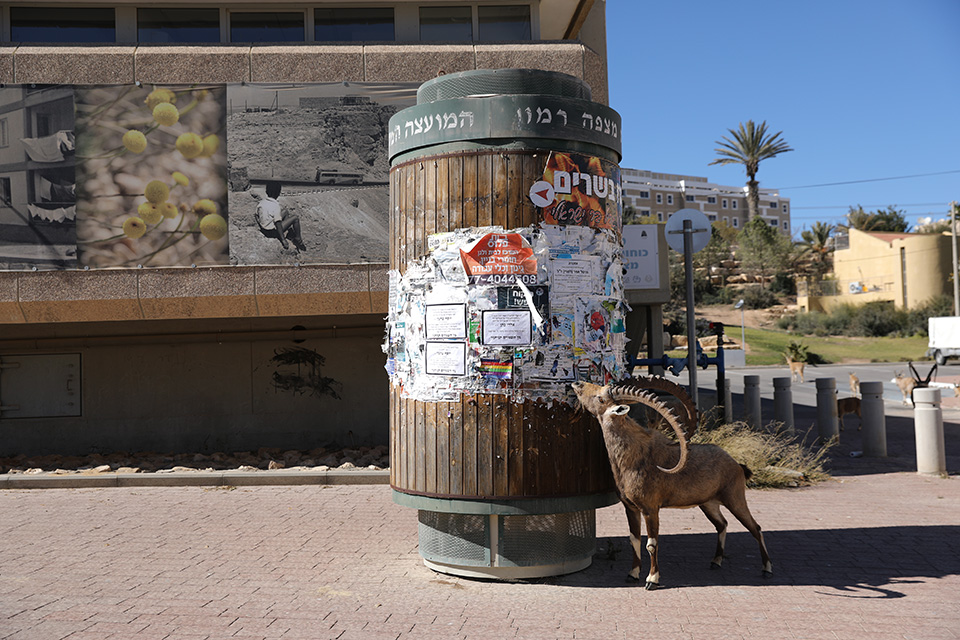 Νέες καταλήψεις