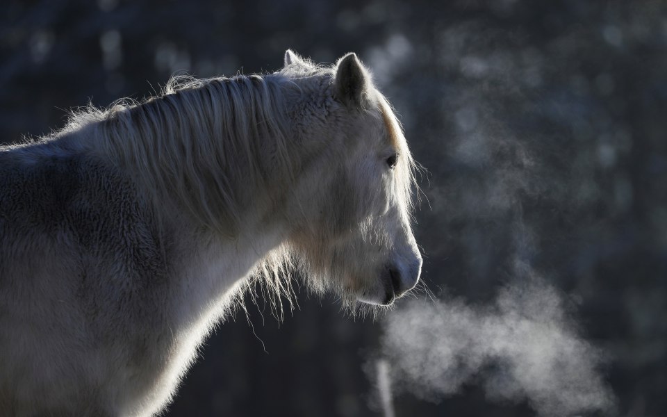 υπεγράφη-η-κυα-για-το-διαβατήριο-ιπποε-561241075