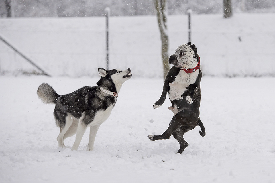 Διαφορά φάσης