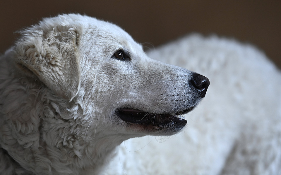 Εθνικός θησαυρός