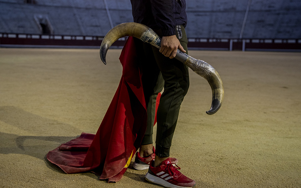 Μια κάποια εκπαίδευση