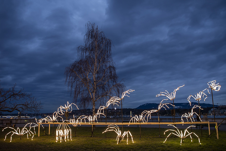 Λαμπερές αράχνες