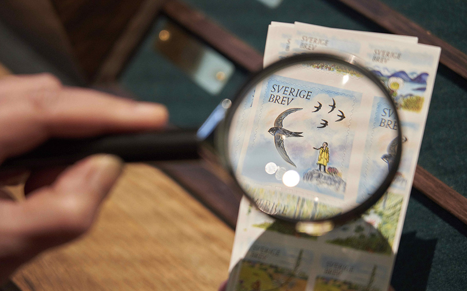 Αναγνώριση από το σπίτι