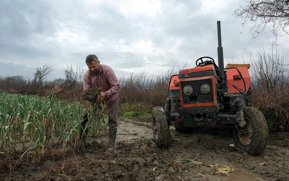 H ιεροτελεστία του πράσου-3