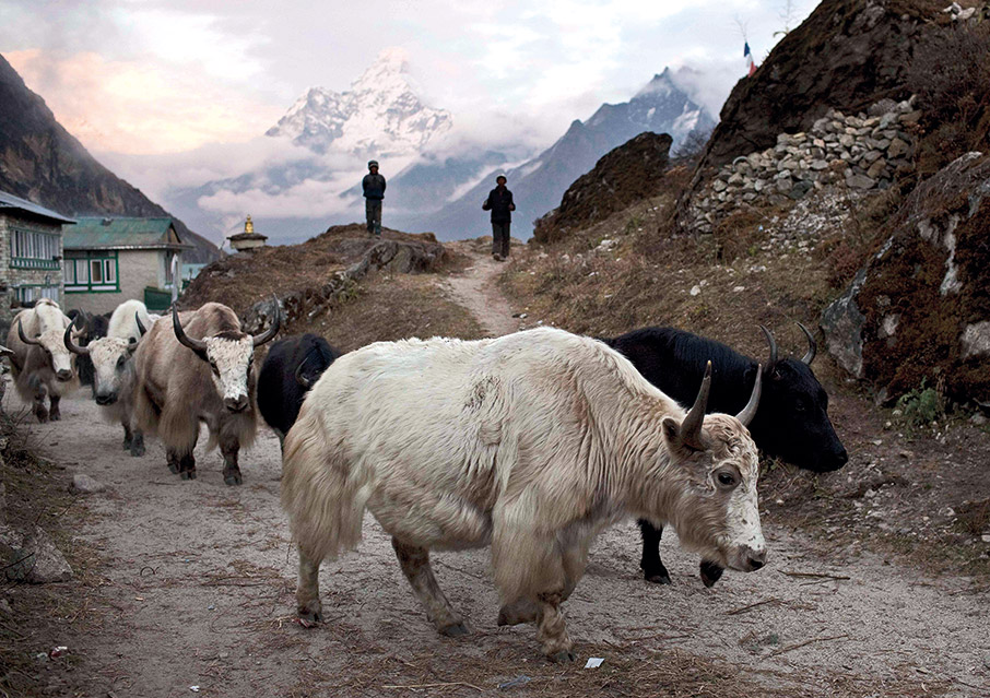 Οι «υπεράνθρωποι» των Ιμαλαΐων-1