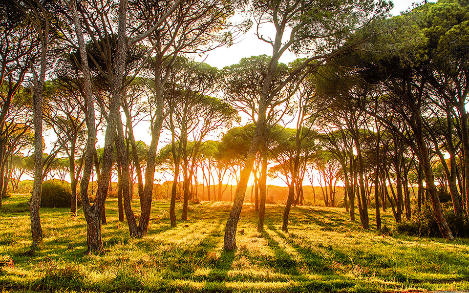 αχαΐα-δεν-είναι-μόνο-η-πάτρα-561215389