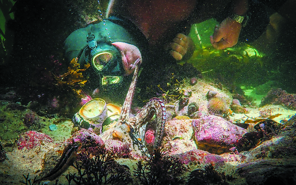 Αν η φύση πεθάνει, πεθαίνουμε κι εμείς-2
