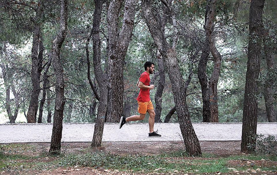 Ο κατάφυτος λοφίσκος όπου όλα είναι γαλήνια-1