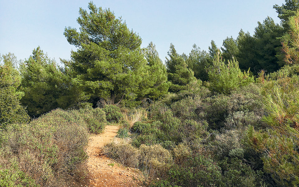 χολαργός-από-την-παραλιακή-στον-υμη-561227602