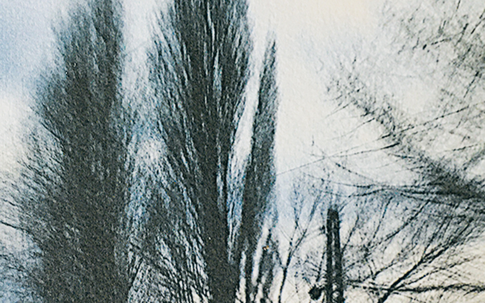 επιστροφή-σε-μια-πατρίδα-που-παρακμάζ-561230911