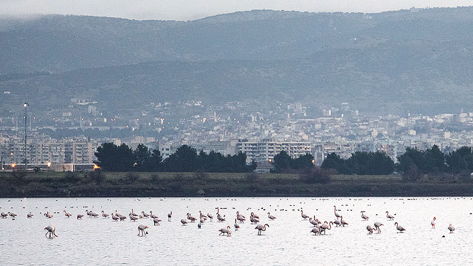 Kαλοχώρι, ο πλανήτης των αντιθέσεων-3