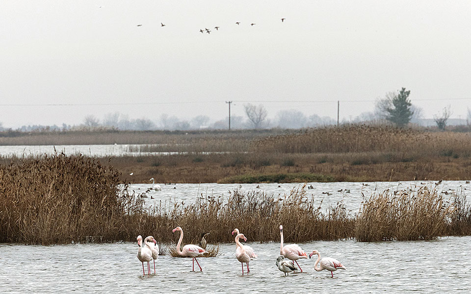 kαλοχώρι-ο-πλανήτης-των-αντιθέσεων-561229177