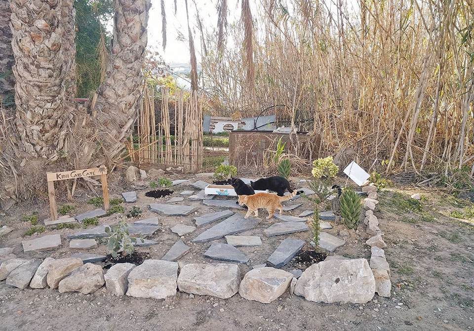 Ο «Γατούλης Χαλεπάς» και τα γατοκαφενεία της Σύρας ανοίγουν τον δρόμο-2