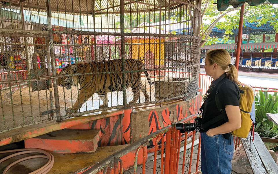 Εκεί όπου δεν θέλει κανείς να πλησιάσει-3
