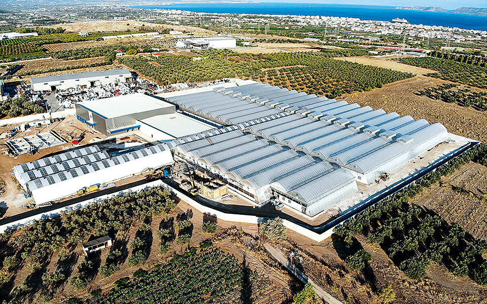 tikun-europe-πρωτοπορία-και-φαρμακευτική-κάννα-561229759