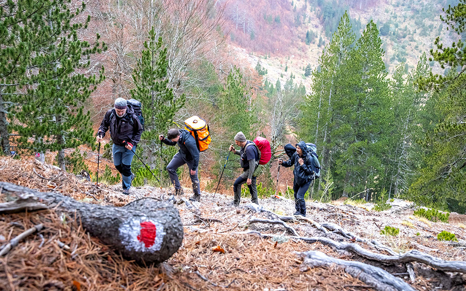 huawei-ελλάδος-όταν-η-τεχνολογία-και-η-tεχνη-561216991