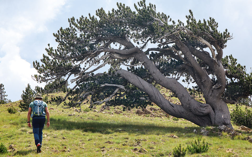 από-το-lockdown-στο-slowdown-561218695