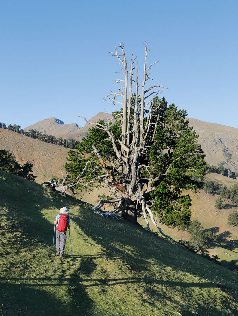 Από το lockdown στο slowdown-3