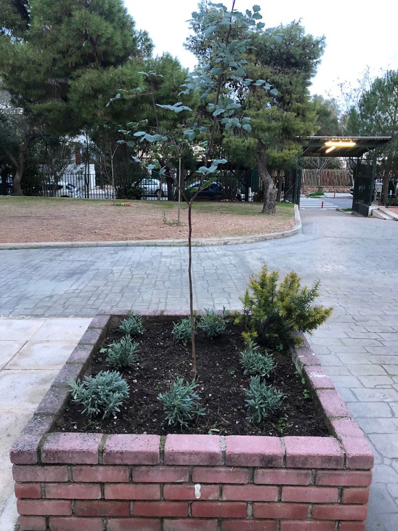 Κάποια σχολεία άνοιξαν «αγνώριστα»-2