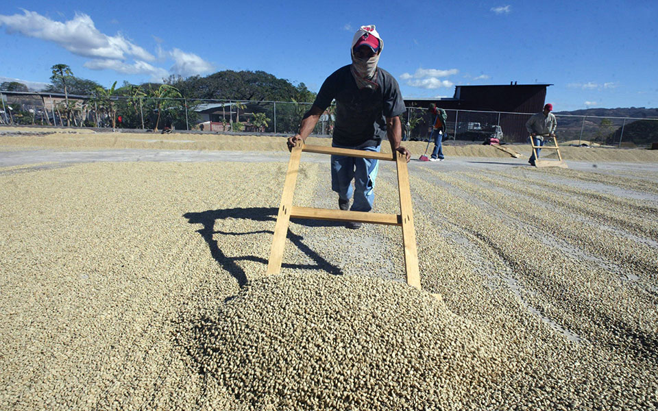 σε-παραγωγούς-μόλις-το-10-της-αξίας-της-α-561229027