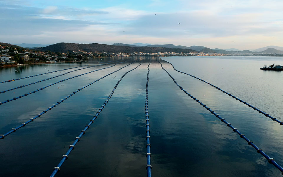 ξεκίνησε-η-πόντιση-του-αγωγού-της-αίγι-561217687