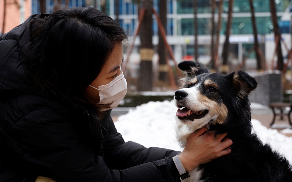 εφαρμογή-εντοπίζει-χαμένα-κατοικίδι-561227587