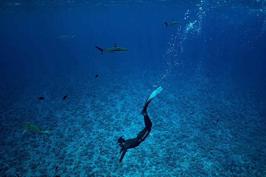 Ελεύθερη κατάδυση με το PANERAI Luminor Marina 44 mm Guillaume Néry Edition-1