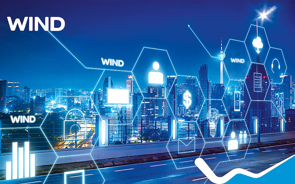 wind-με-υπευθυνότητα-και-ισχυρό-επενδυτι-561229810