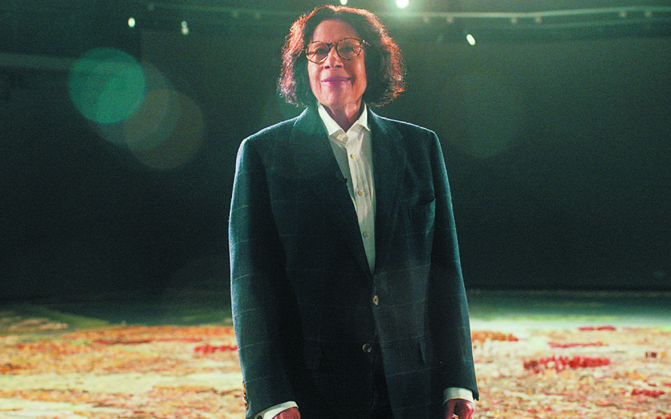 η-νέα-υόρκη-της-φραν-λίμποβιτς-διά-χειρ-561238540