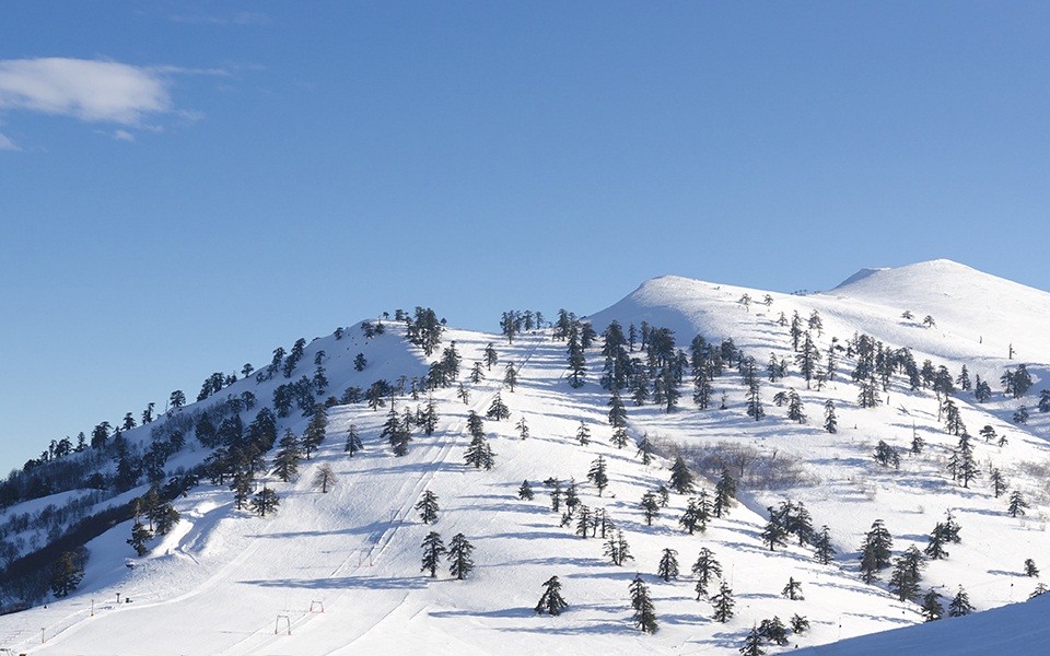 ιωάννινα-συνεχίζονται-οι-έρευνες-για-561247870